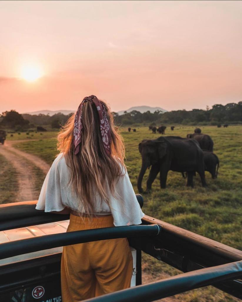 Minneriya Jeep Safari Habarana Bagian luar foto