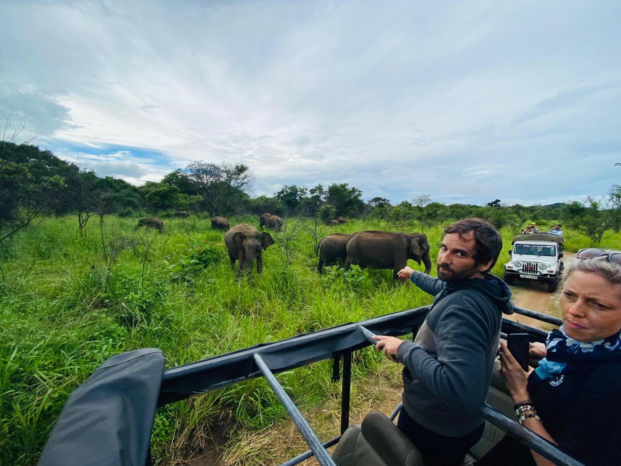 Minneriya Jeep Safari Habarana Bagian luar foto